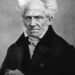 Portrait photograph of the philosopher Arthur Schopenhauer