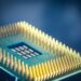 Intel CPU price increase 인텔 CPU 가격 인상 processor chip with gold contact pins